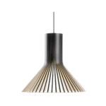 Puncto 4203 pendel