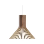 Puncto 4203 pendel